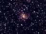 NGC 6946.jpg